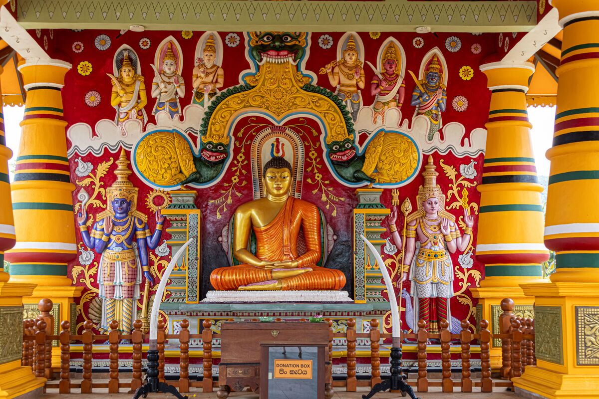 Sigiriya rock fortress on a private Sri Lanka cultural tour