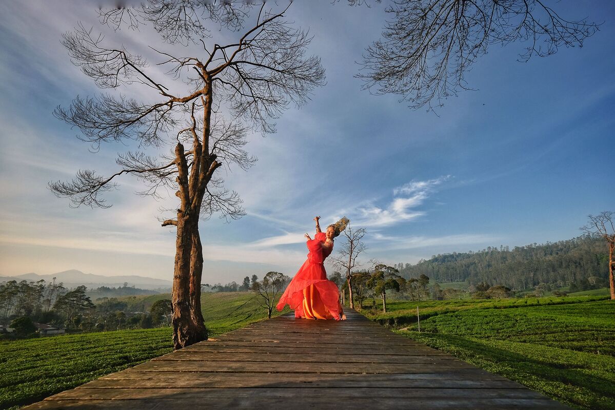 Comfortable 8-day short Sri Lanka holiday through the hill country