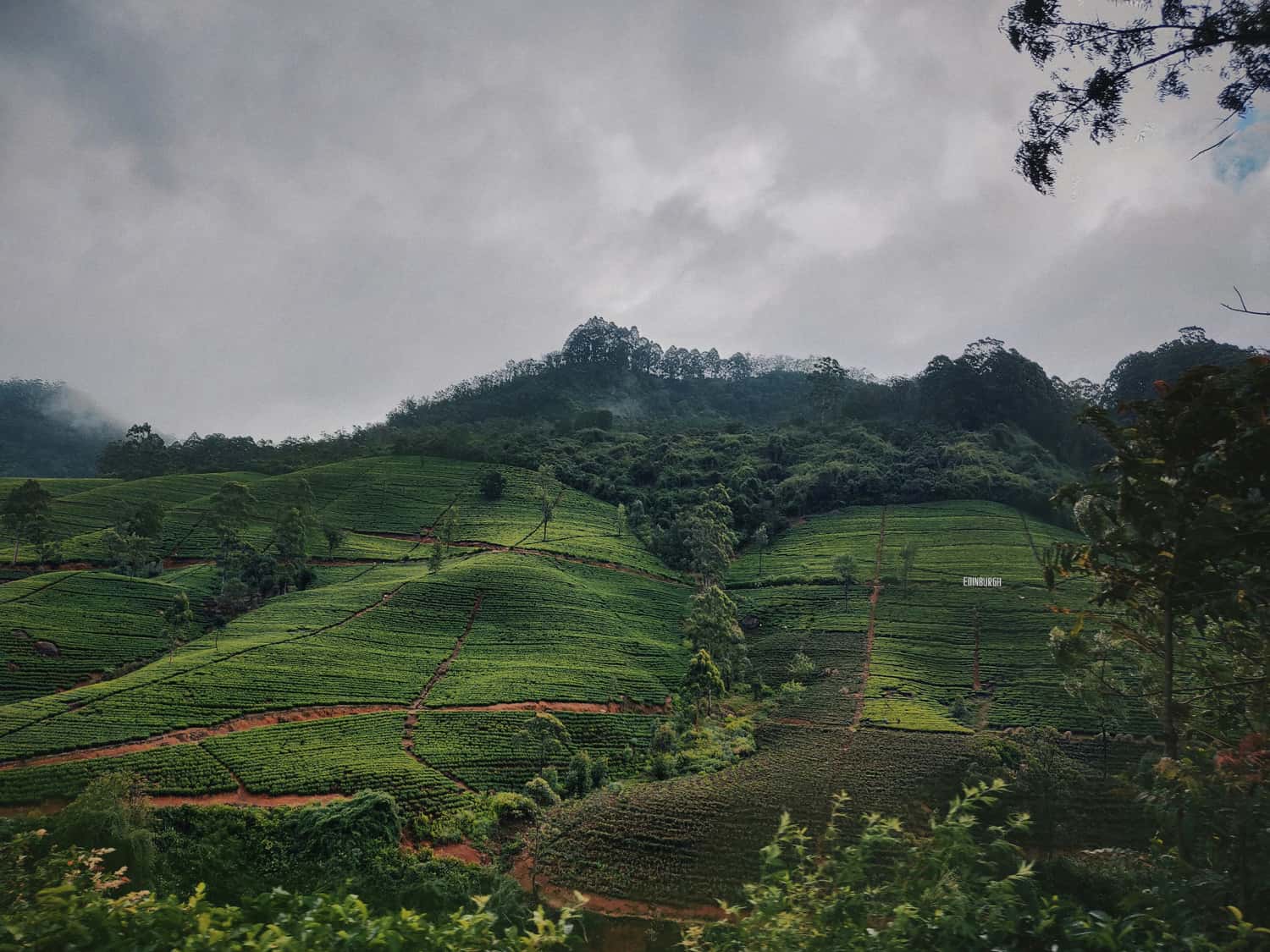 Ella in Sri Lanka's hill country, an area where Chabad support may be available in season