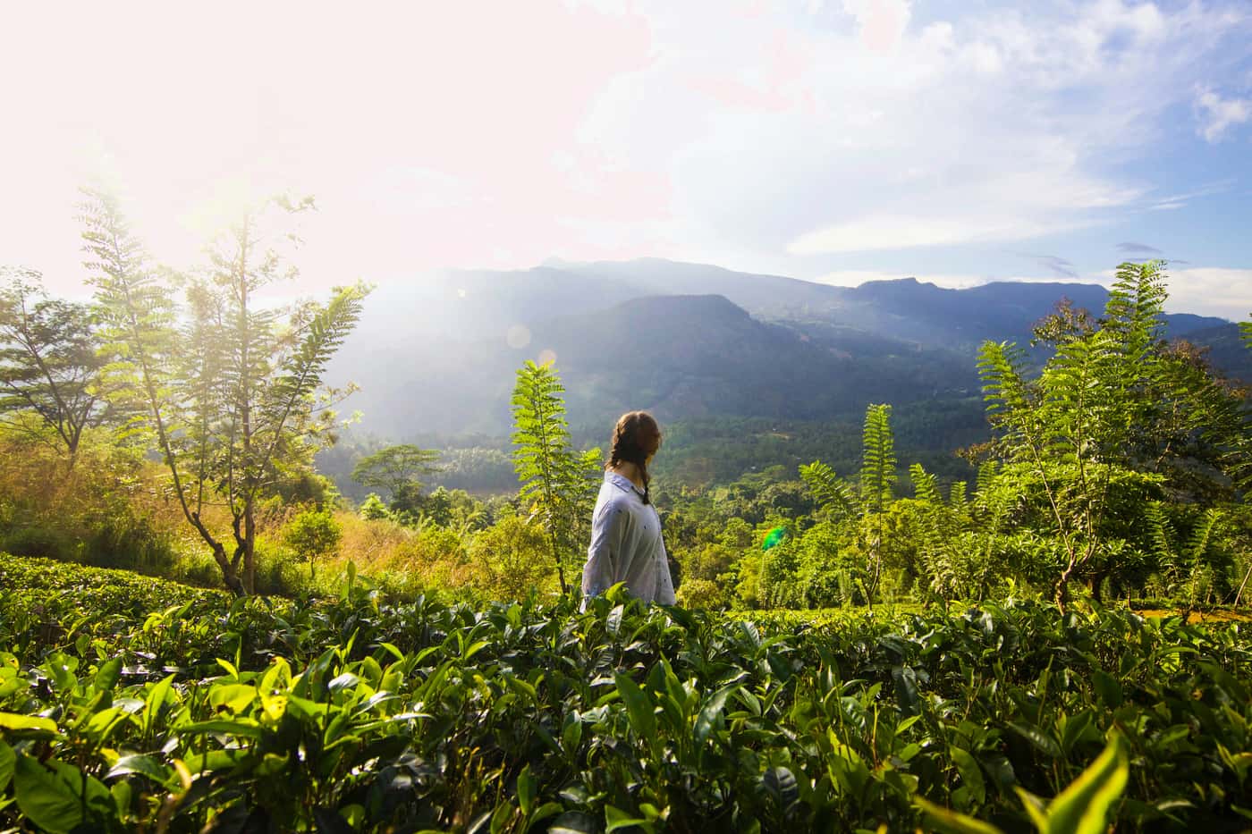 Sri Lanka luxury honeymoon route with tea country and beach