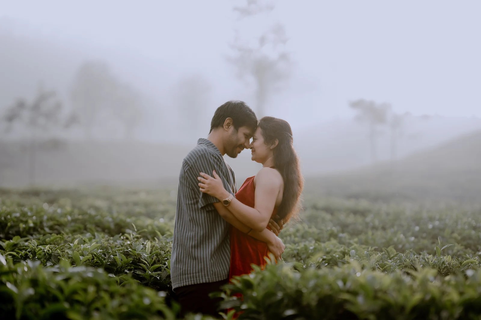 Sri Lanka honeymoon planning guide with beach, tea country and culture