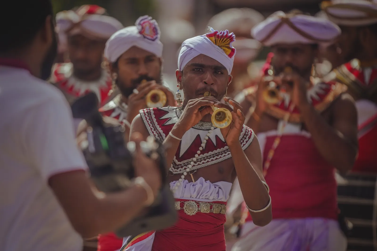 Scenic Sri Lanka family travel route through culture and the hill country