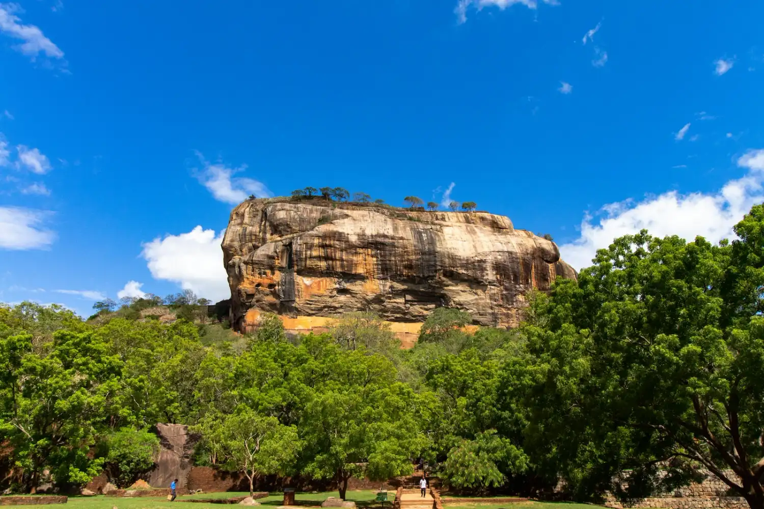 Family holiday in Sri Lanka with culture, wildlife, and beach time