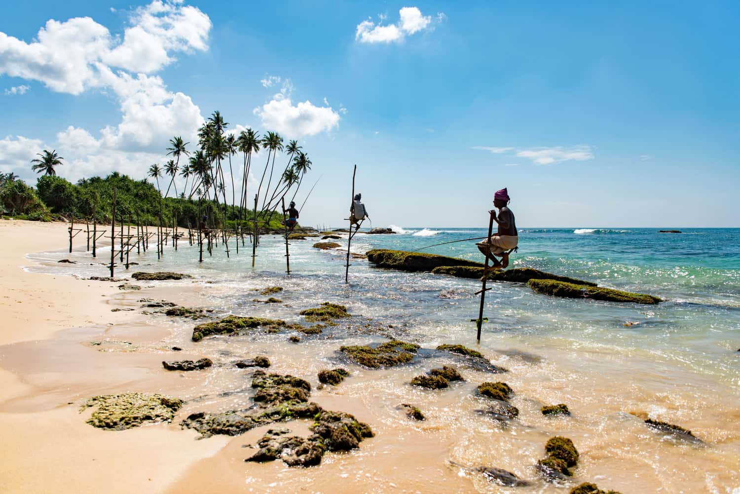 Sri Lanka south coast, a popular region for kosher beach routes from December to April