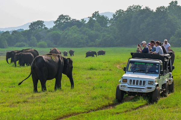 11-Day Sri Lanka Family Adventure Tour — Sri Lanka itinerary by Elephant Travels
