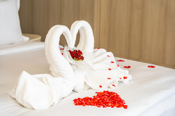 How to Plan a Sri Lanka Honeymoon