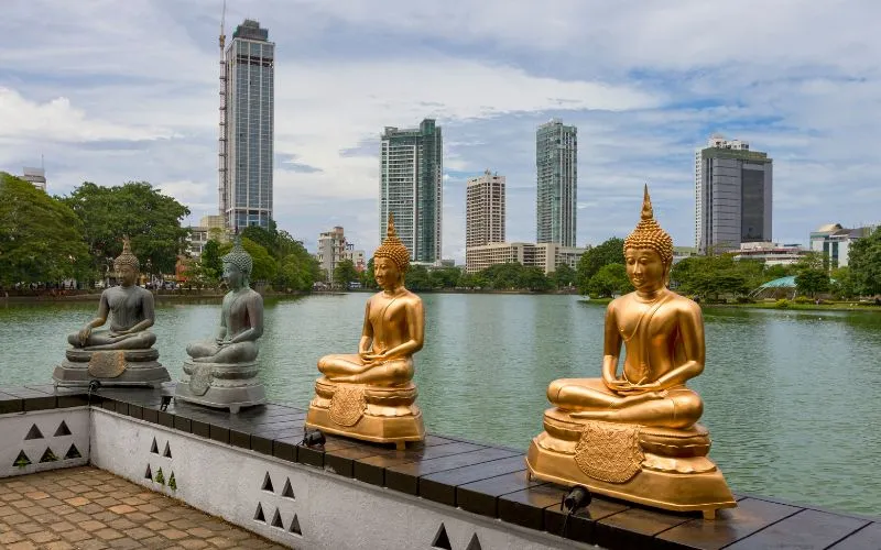 Arrival and Transfer to Negombo or Colombo — Sri Lanka wildlife tour