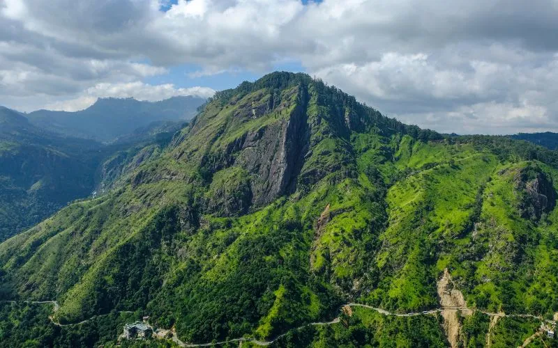 Nuwara Eliya, Tea Country and Scenic Highlands — Sri Lanka wildlife tour