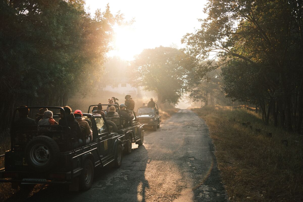Sri Lanka hiking, rafting and safari tour in the highlands